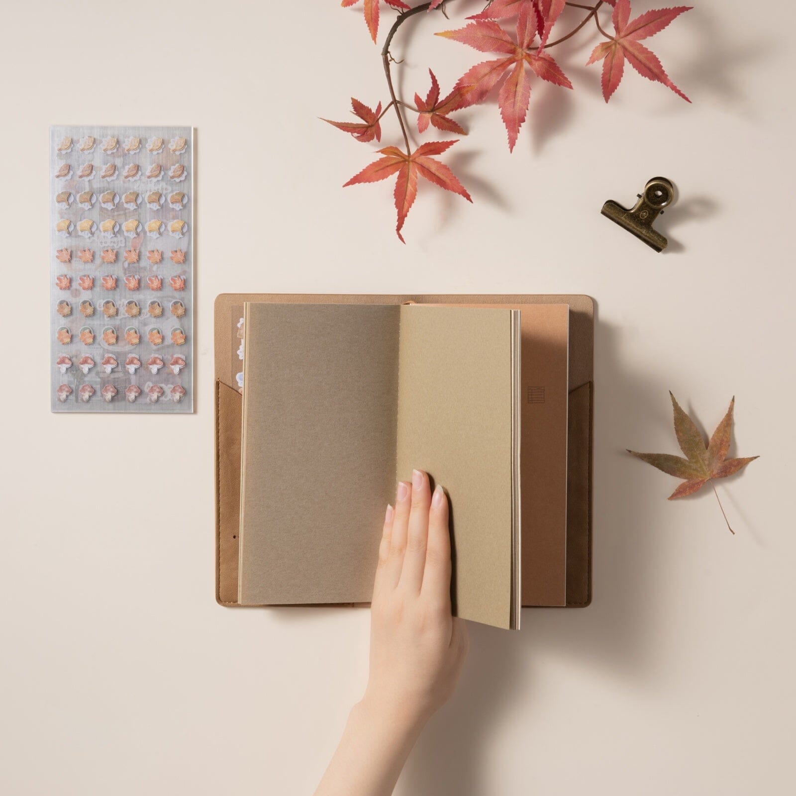 Hinoki - ‘Into the Fall’ Mixed Insert + Sticker Set